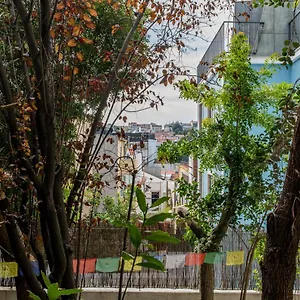  Affittacamere Lost :: Avenida House